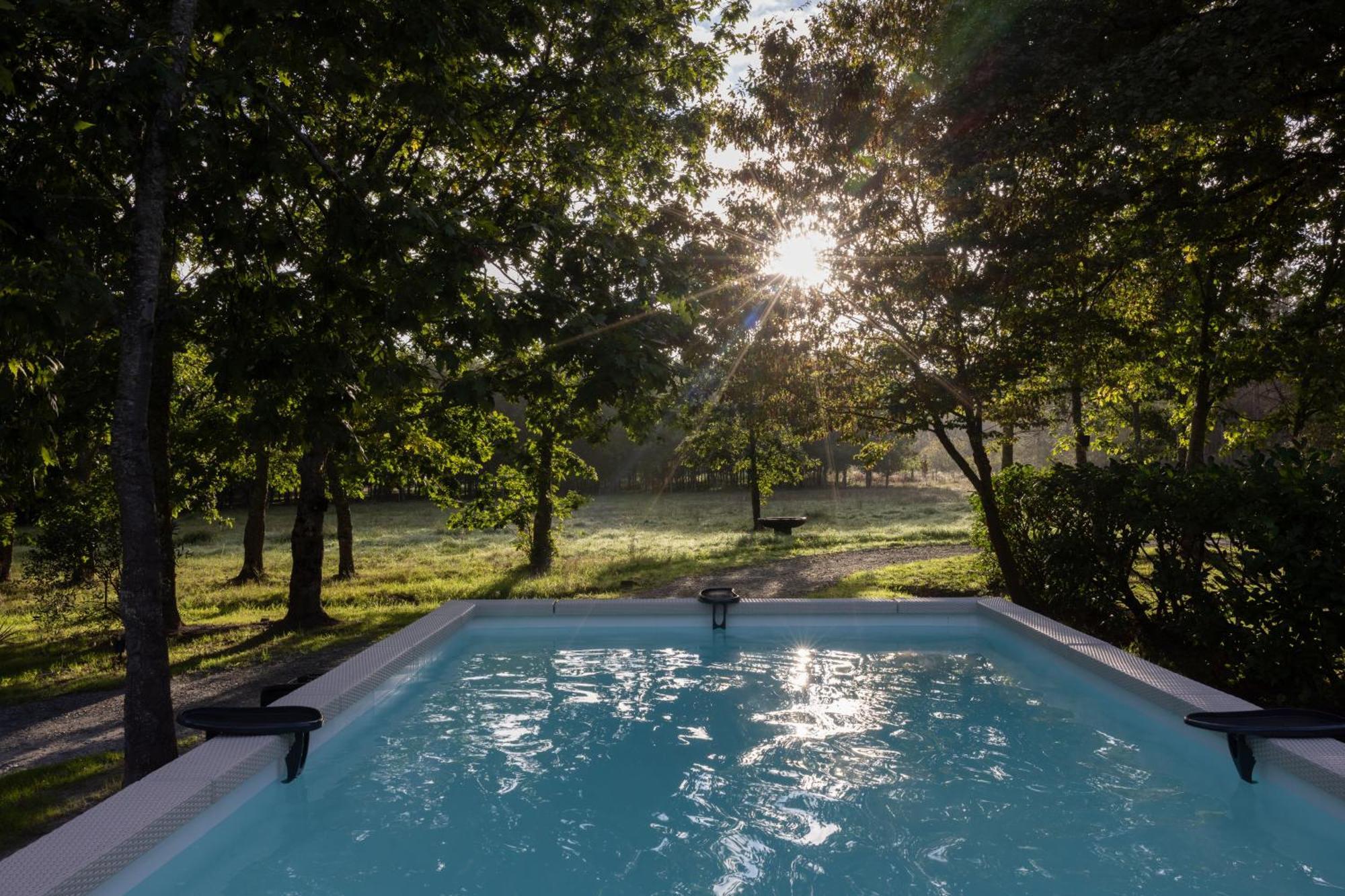 L Ost In Sensations -Hebergements Insolites Et Suites De Luxe Spa Sauna Piscine Foret Marcenais Eksteriør bilde